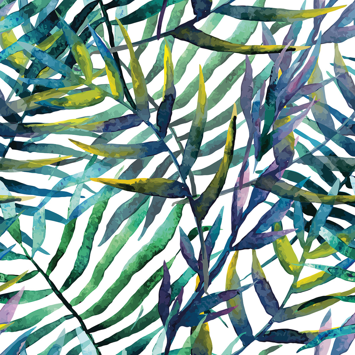 Tropical Connections