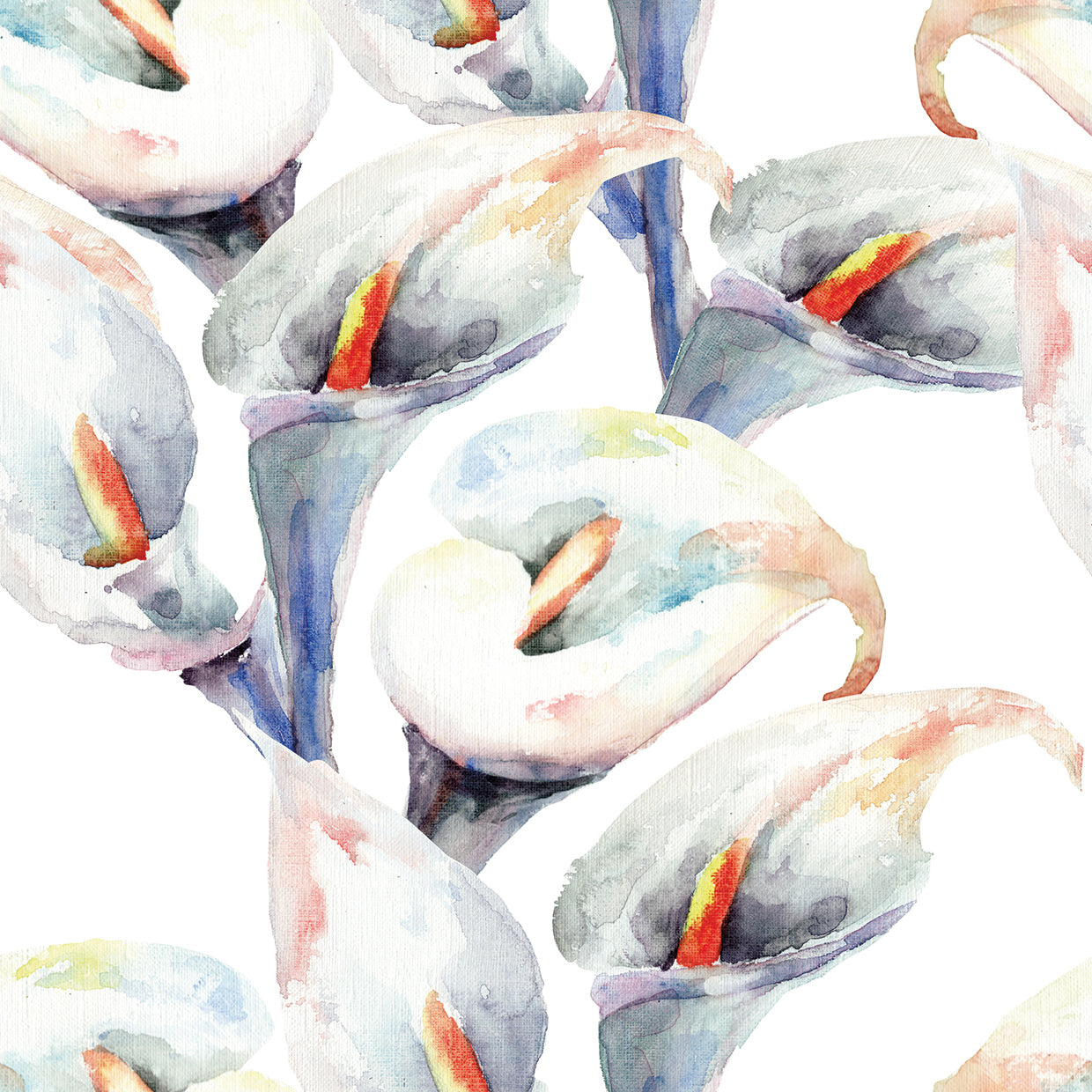 Arte de la lona de la canción de cuna de Calla Lilly