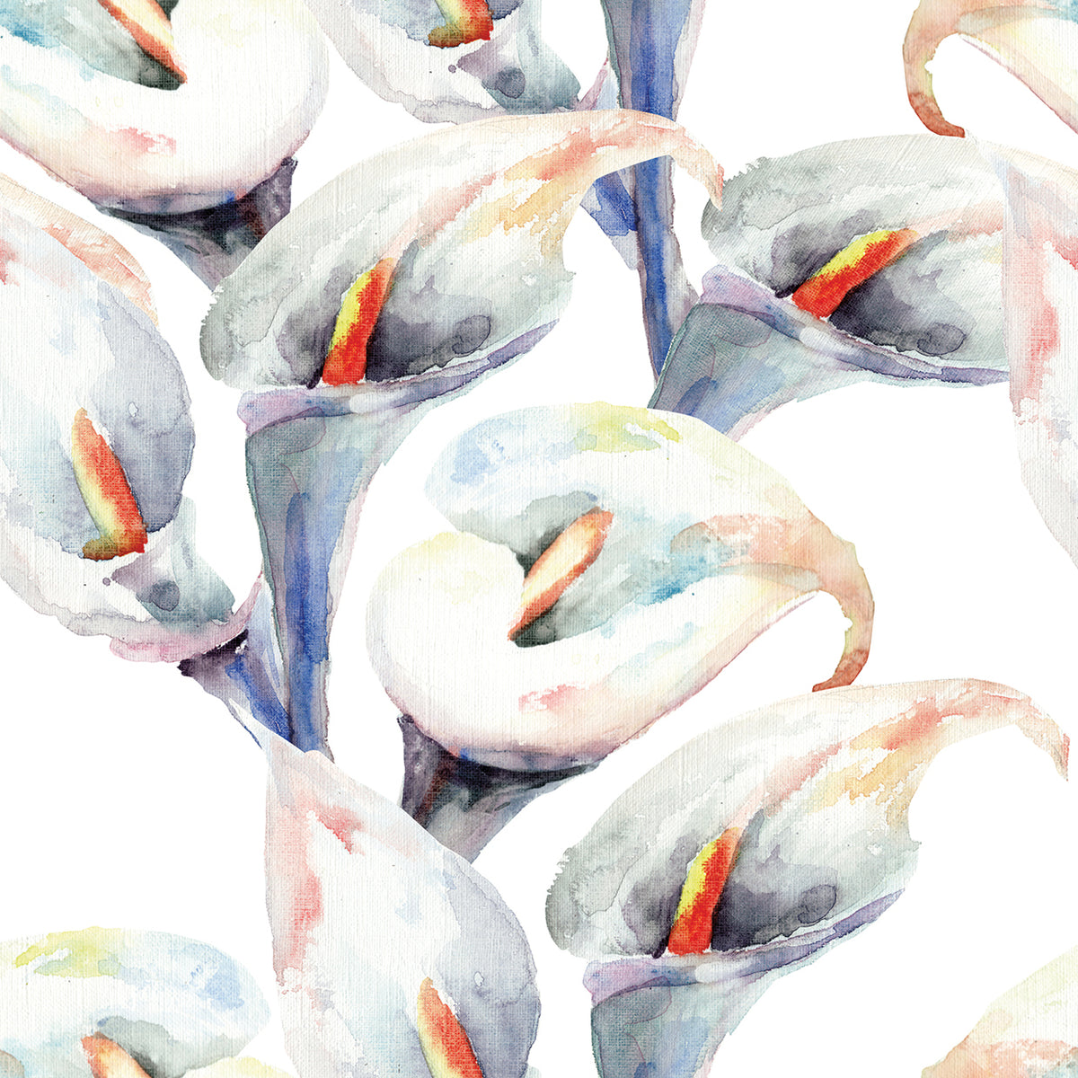 Calla Lilly Lullaby