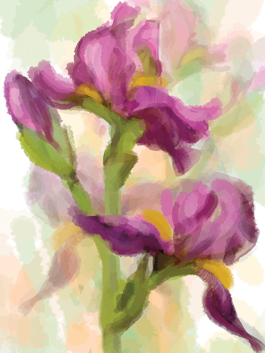 Arte de la lona del trío del iris de la primavera