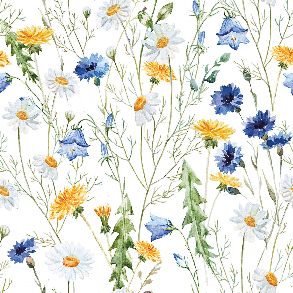 Wildflowers on White
