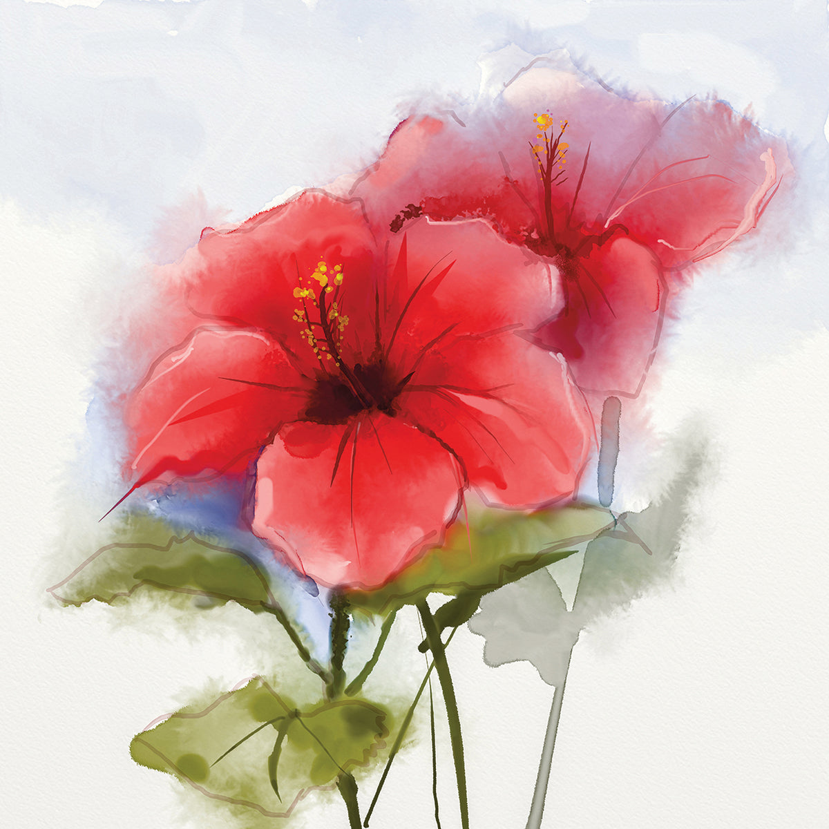 Aloha Hibiscus