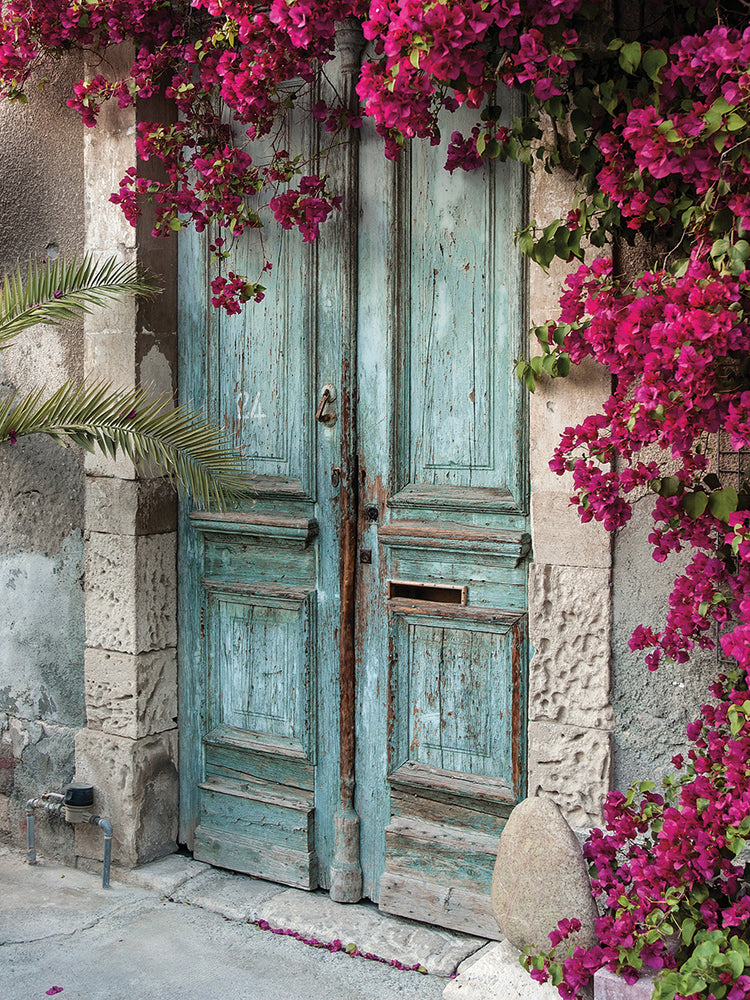 Hot Pinks Blue Door