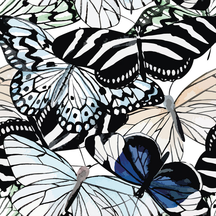Blue Zebra Butterflies