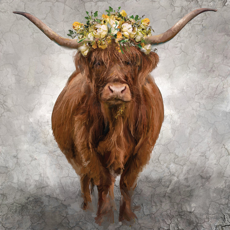 Lady Longhorn