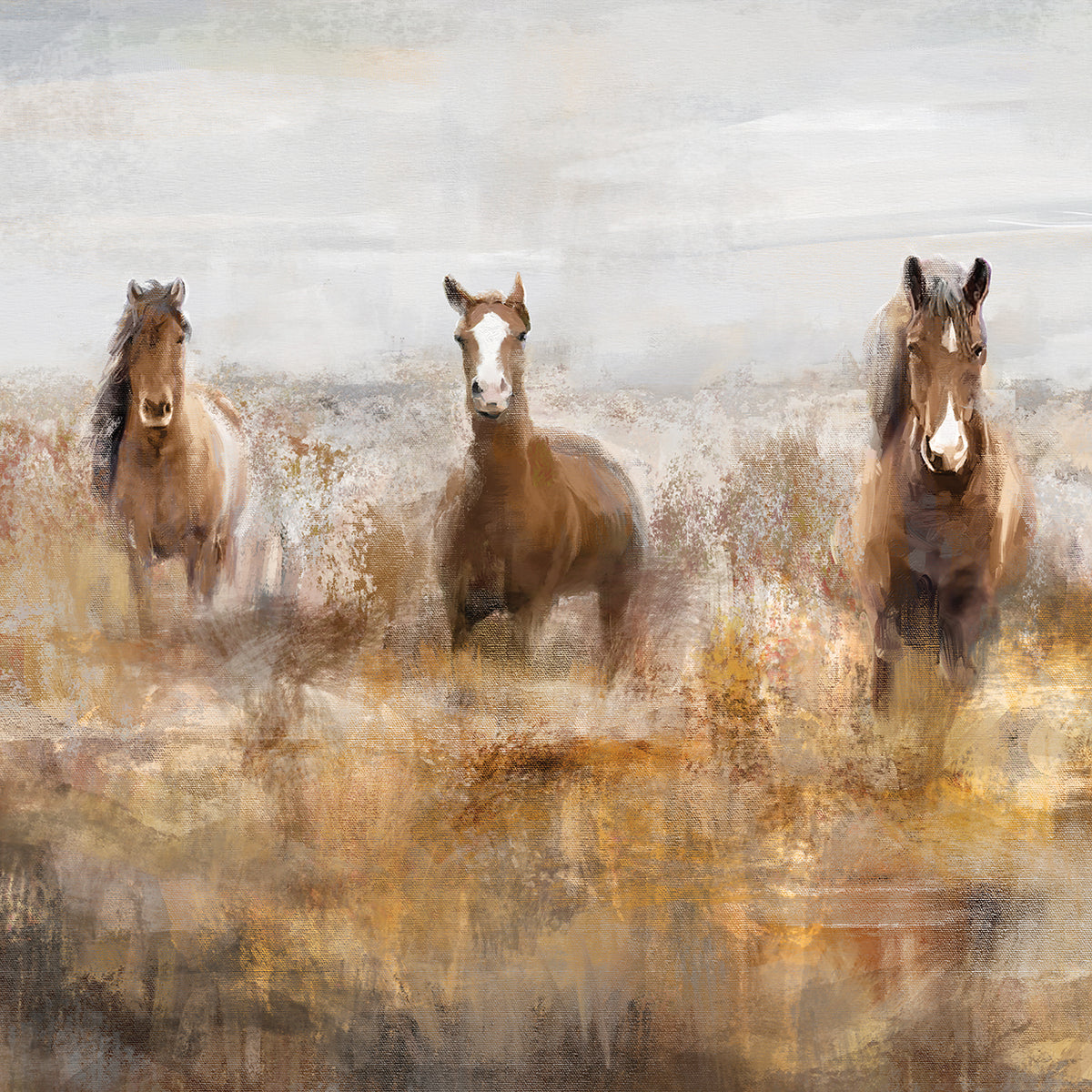 Morning Herd Square
