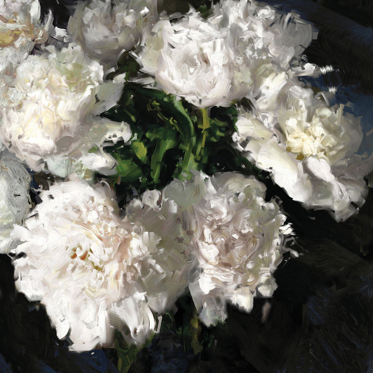 Peony Glow