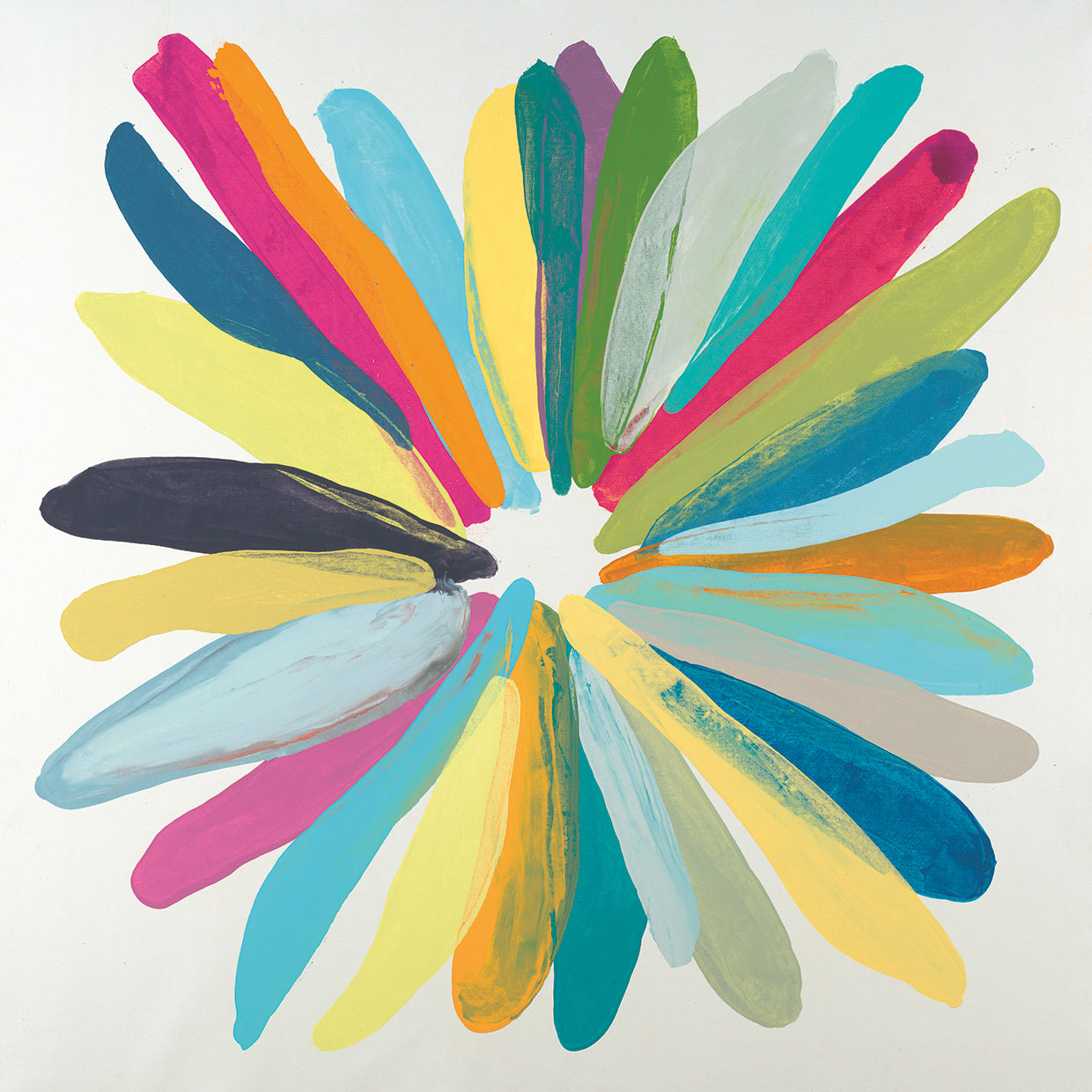 Color Wheel by Randy Hibberd - lowest price wall art work on large canvas & framed canvas prints