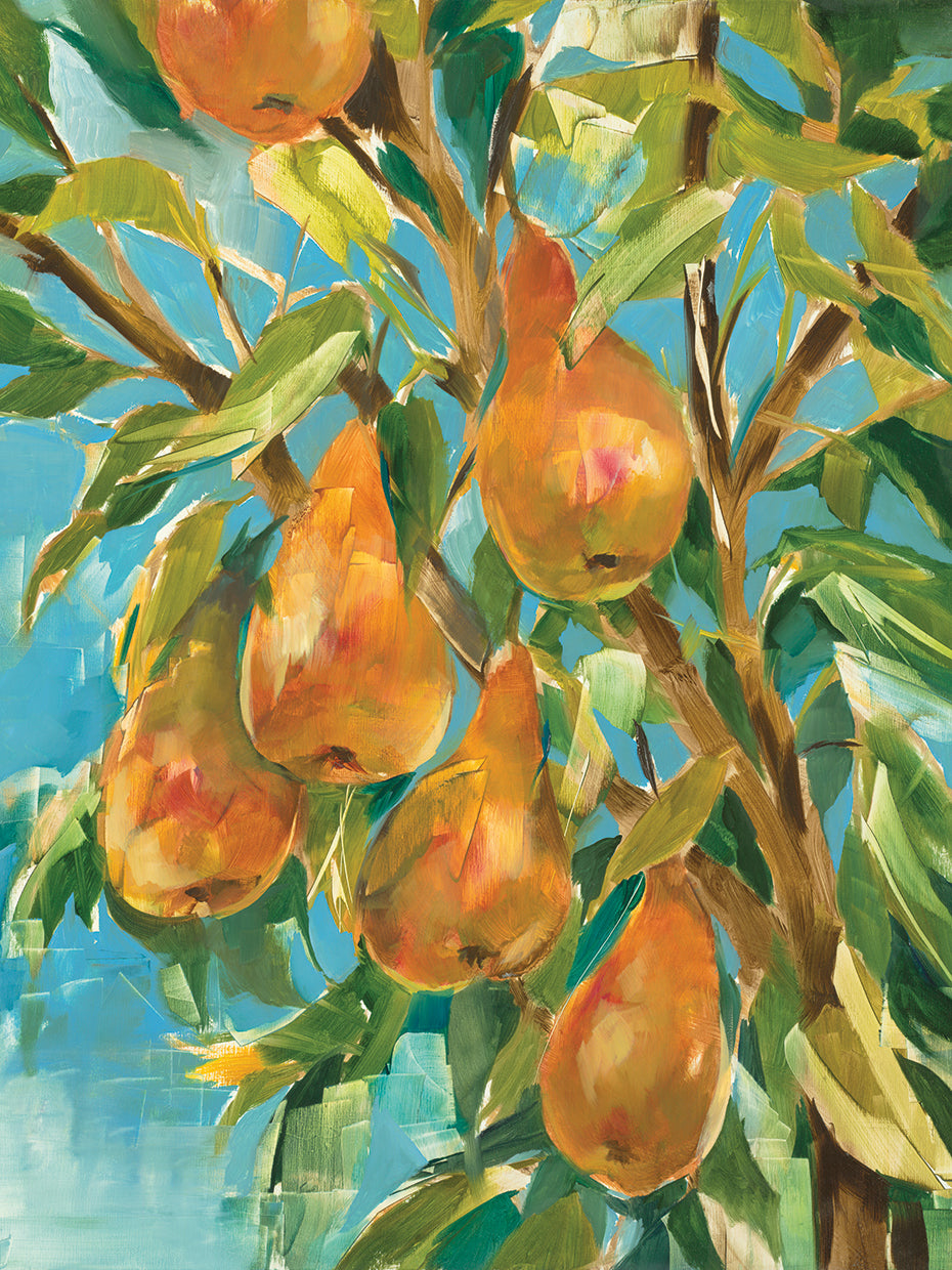 An Apple a Day by Liz Jardine - lowest price wall art work on large canvas & framed canvas prints