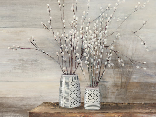 Pussy Willow Still Life with Designs Canvas Art