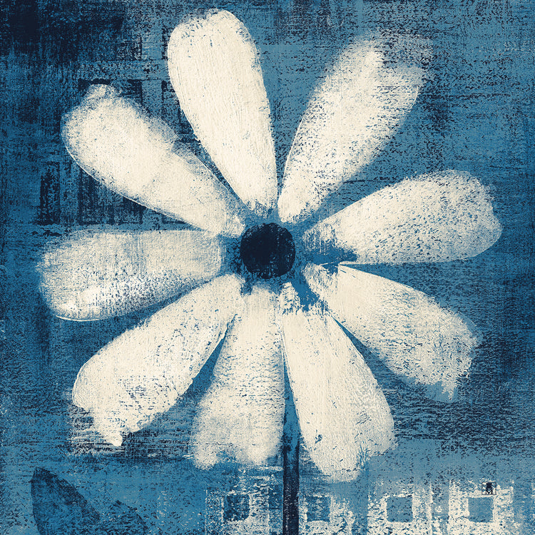 Daisy for Belinda Blue