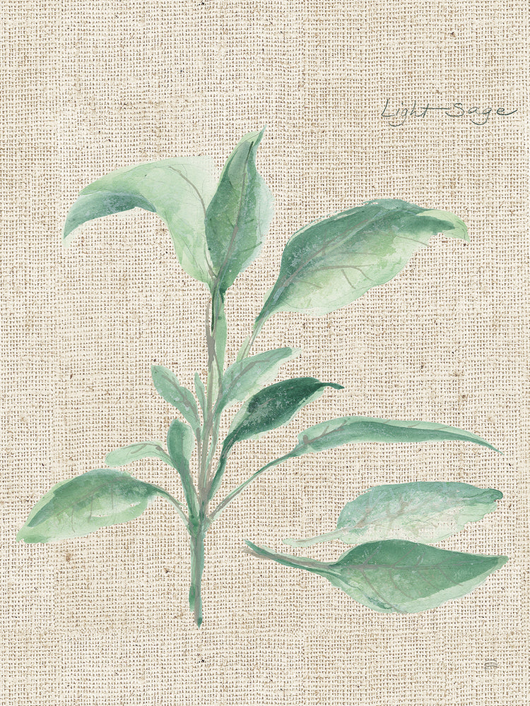 Sage II sobre lienzo de arpillera