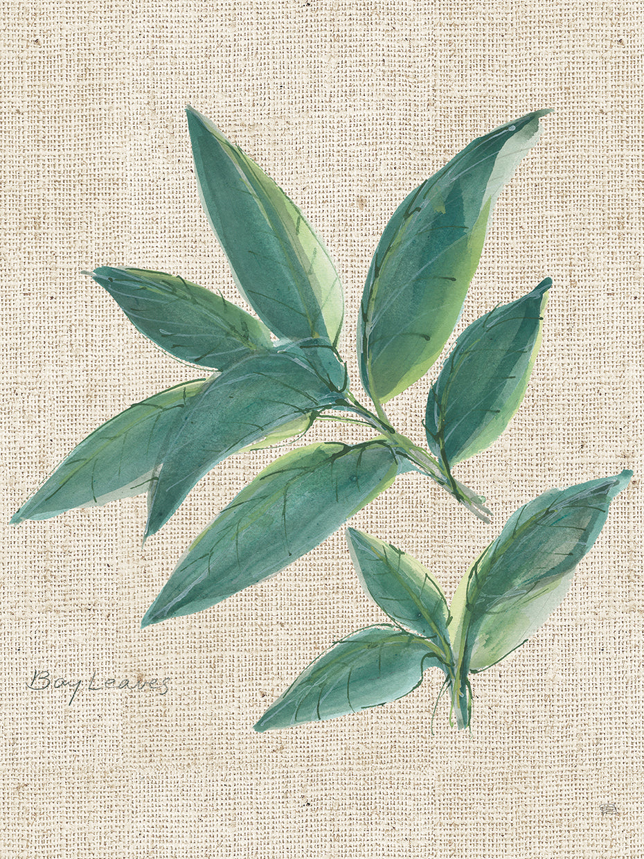 Hoja de laurel sobre lienzo de arpillera