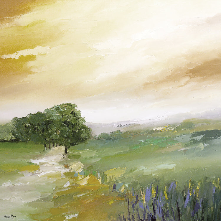 Early Evening Sky Light