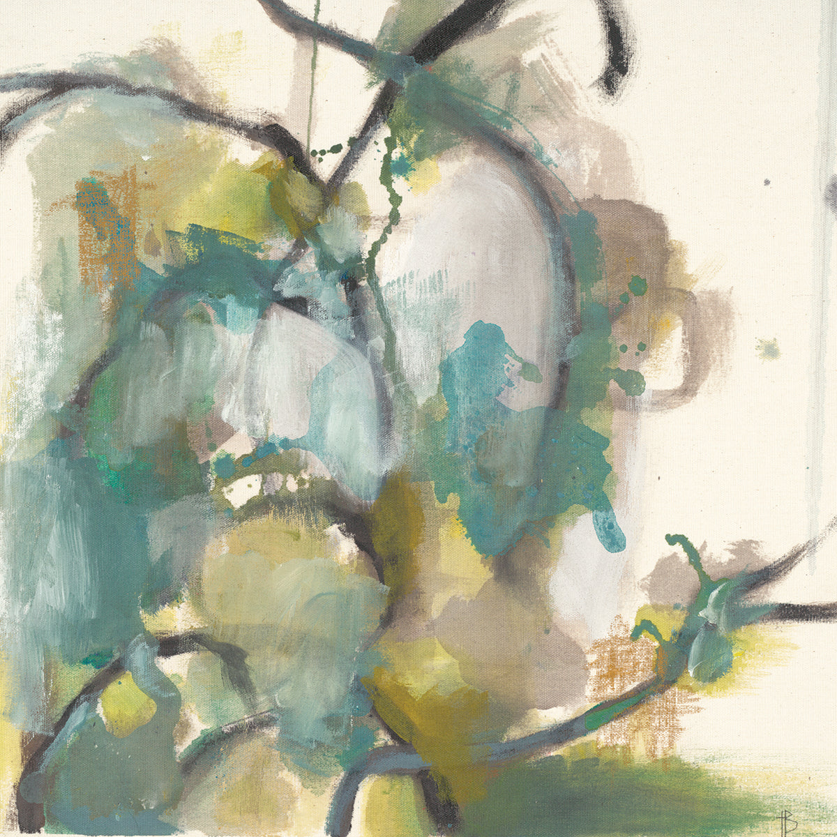 Tropical Vines