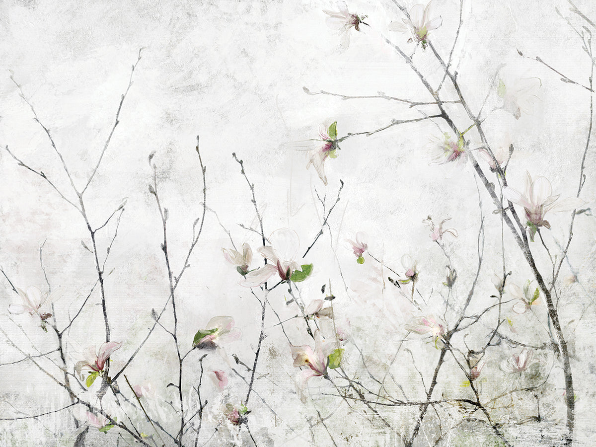 Magnolia Moment