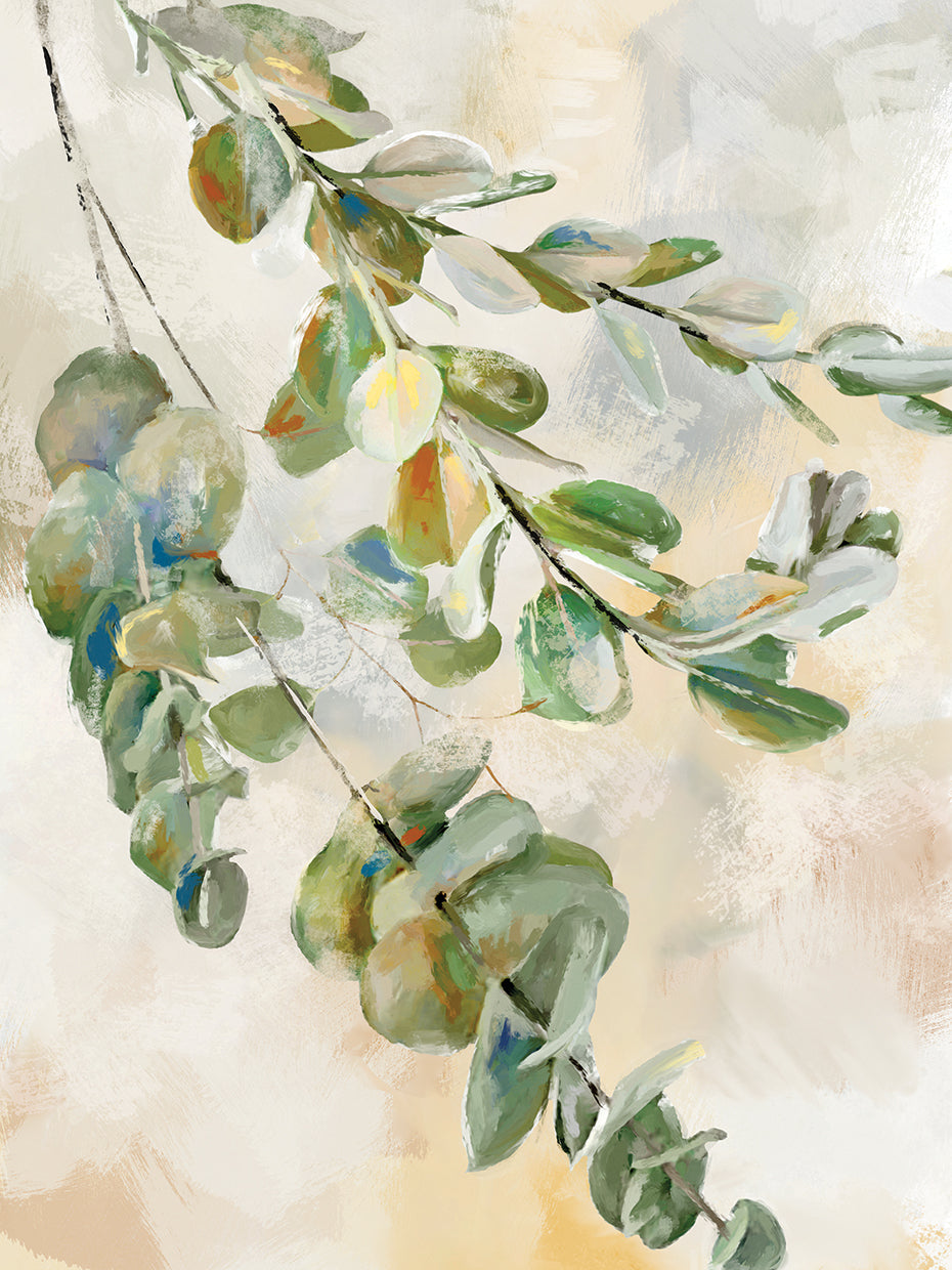 Eucalyptus II