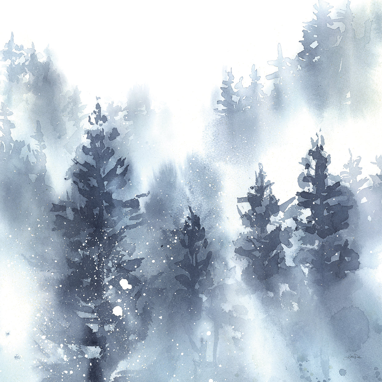 Misty Forest II