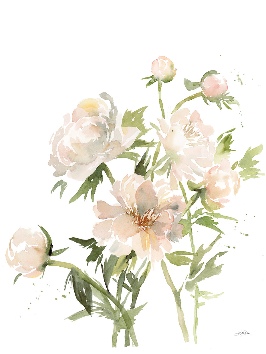 Peonies II