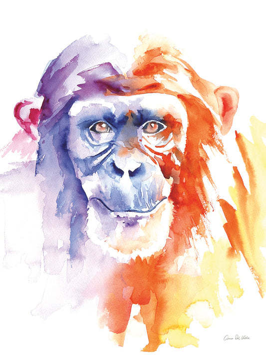 Chimpanzee II Canvas Art