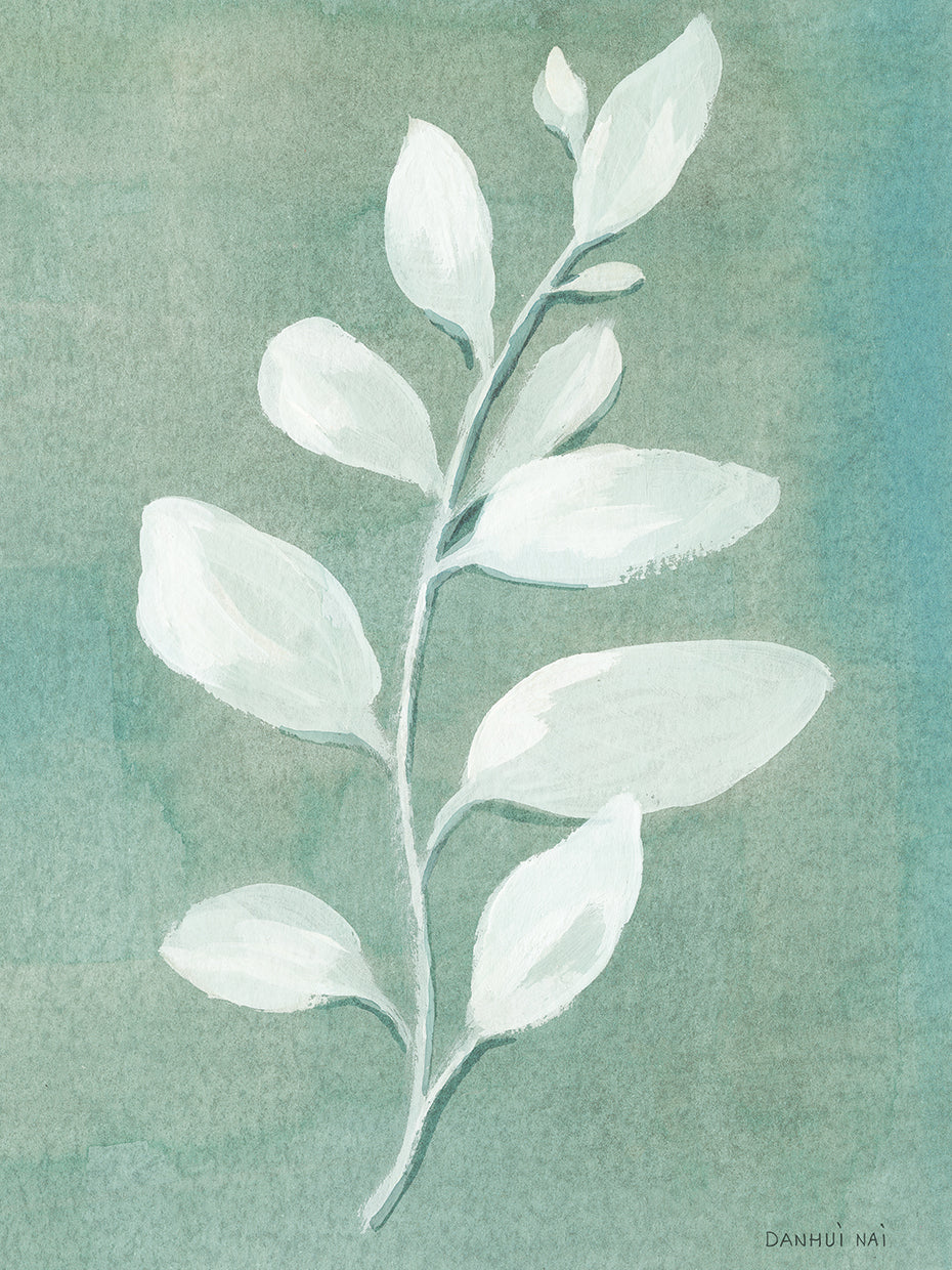 Sage Leaves Is
