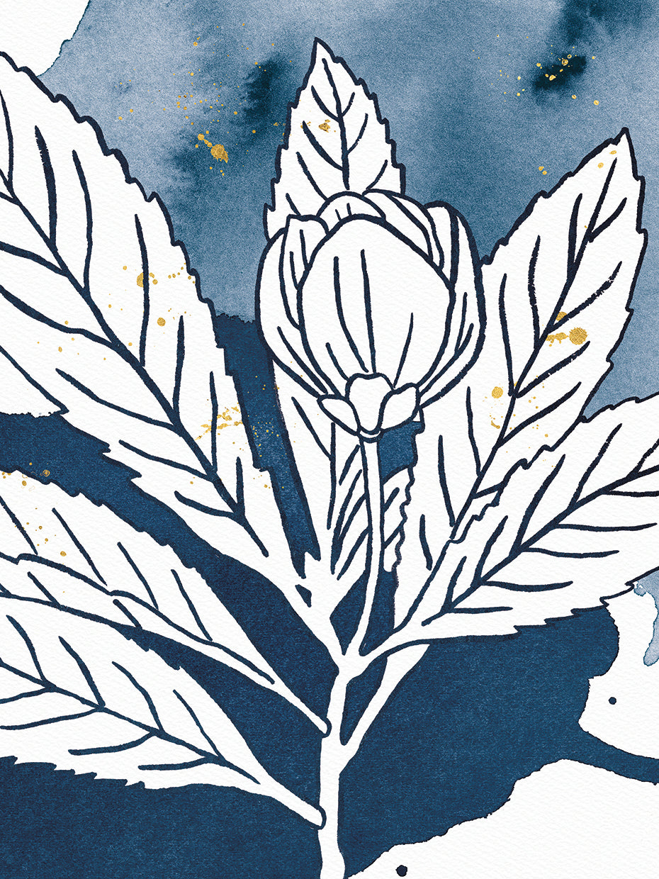 Indigo Blooms IV