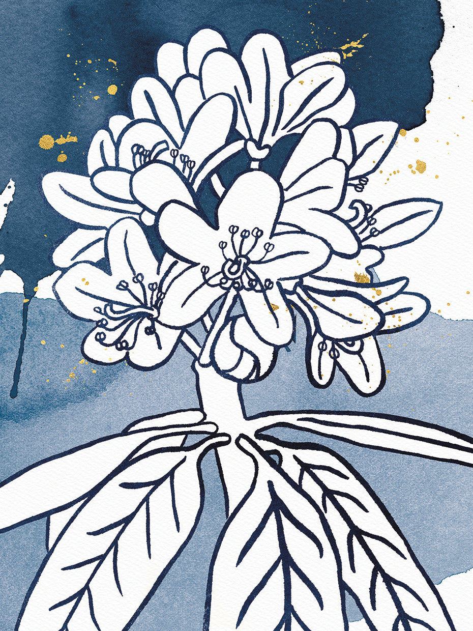 Indigo Blooms II