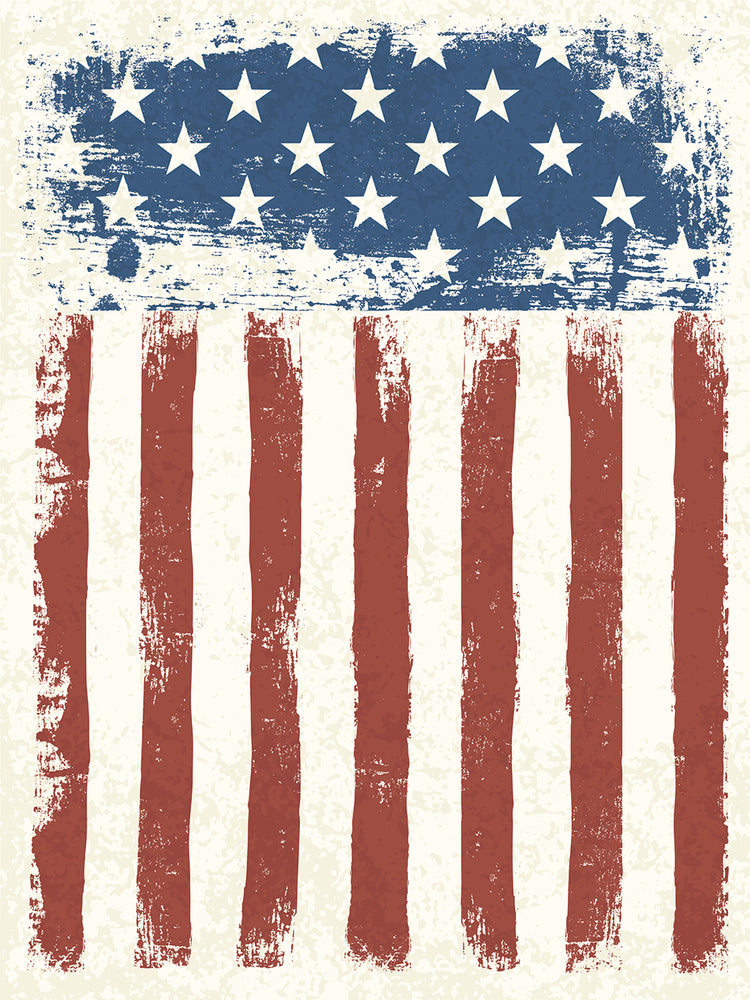 Arte de la lona del orgullo patriótico