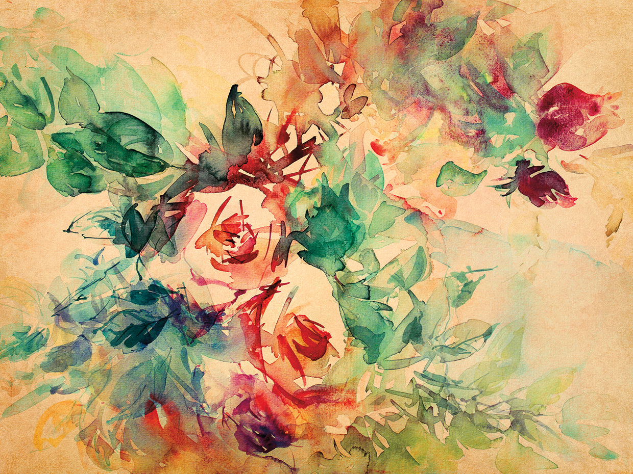 The Romance of Roses