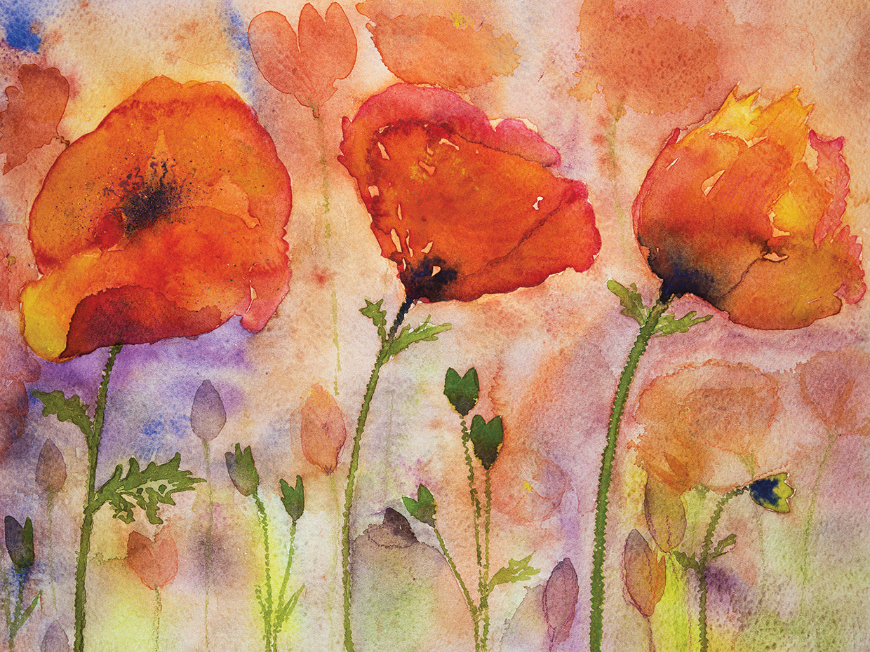 Soft Red Whispers Poppies