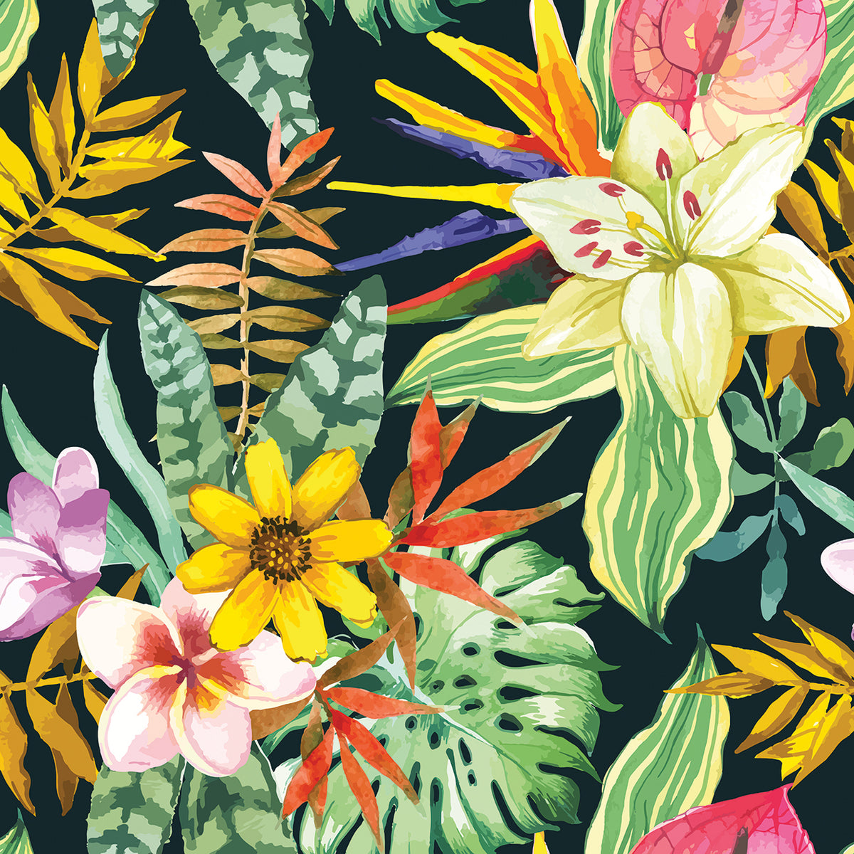 Sweet Tropical Night Blooms