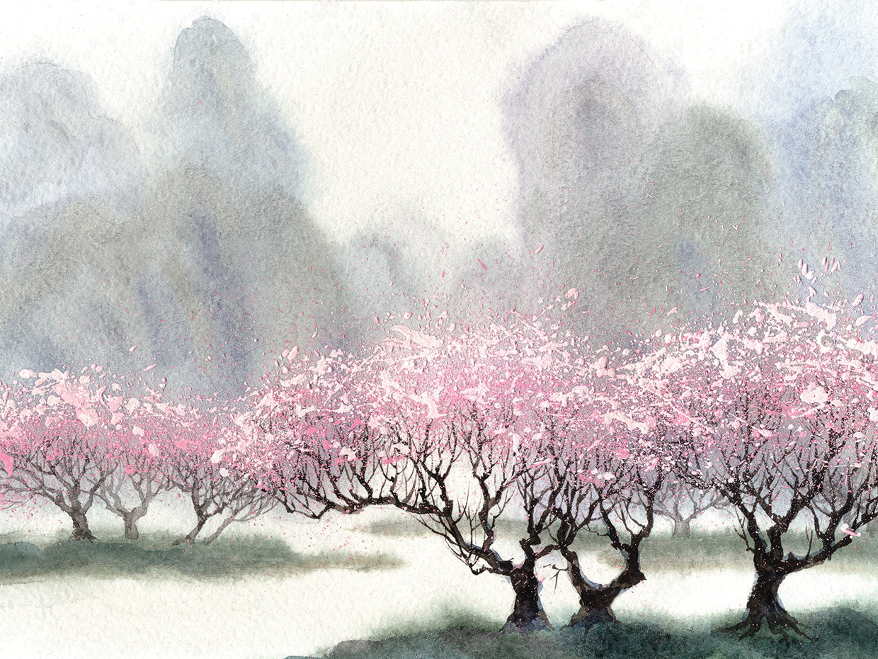 Lacy Pink Spring Blossoms
