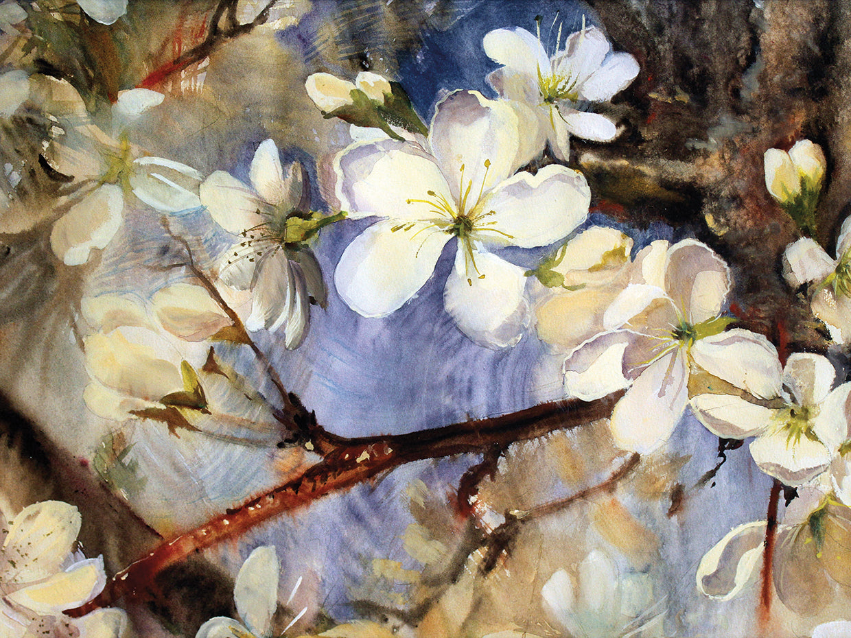Fresh Cream Spring Blossoms