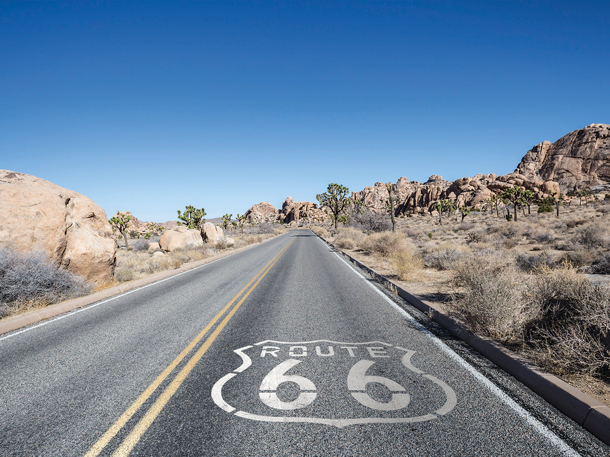 Route 66 Desert Run