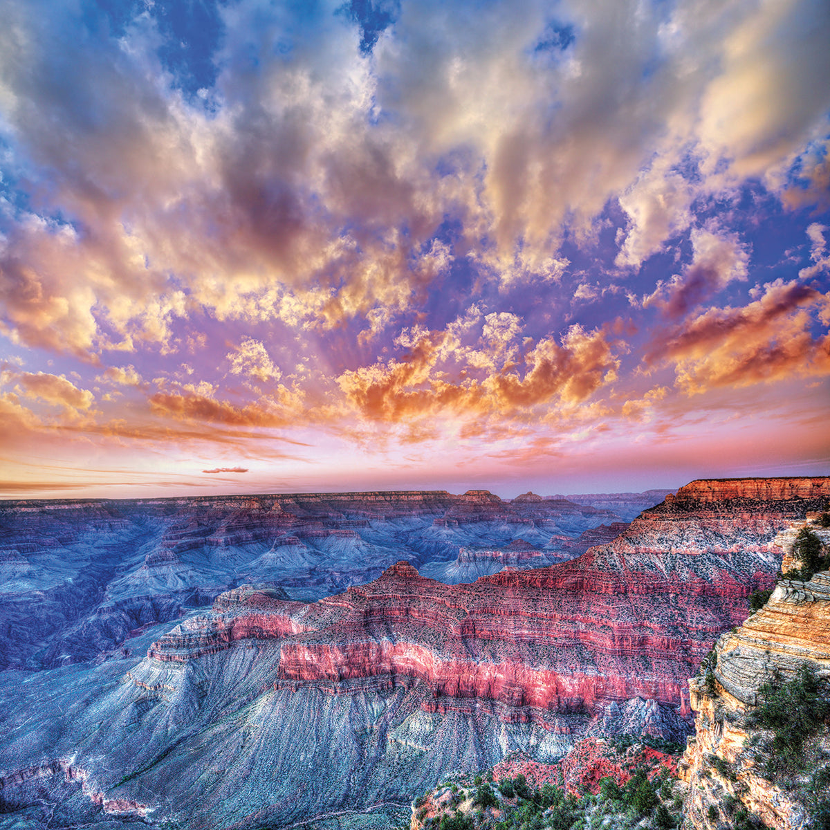 Grand Canyon Colors on Parade