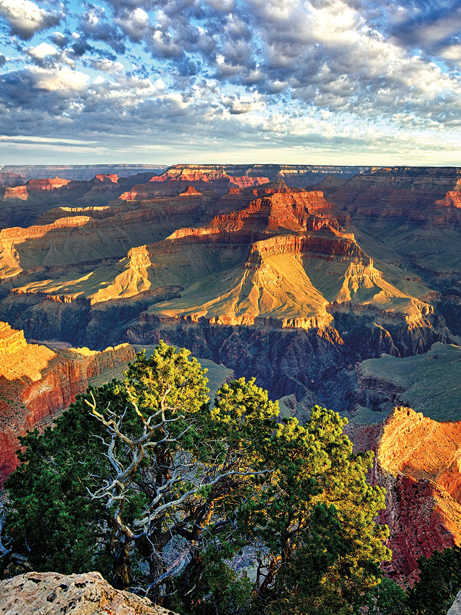 Good Morning Grand Canyon!