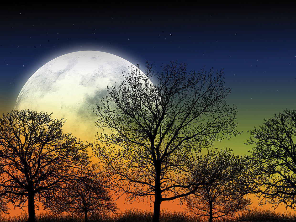 Mystic Garden Moon