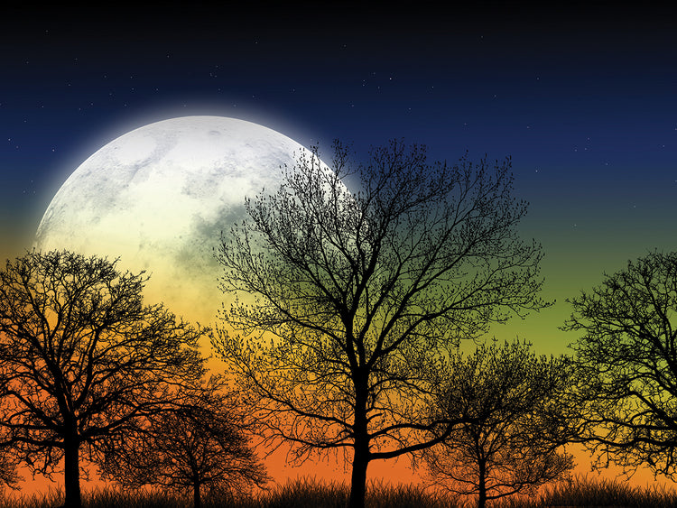 Arte de la lona de la luna del jardín místico