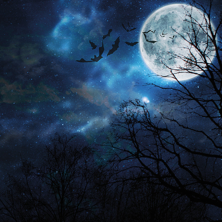 Spooky Halloween Bats