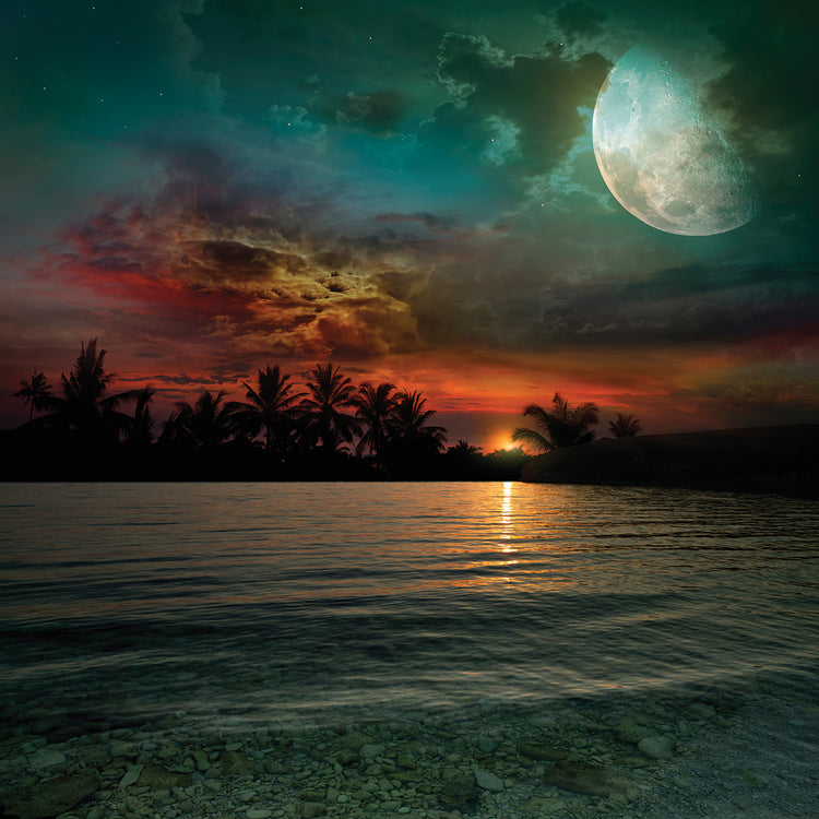 Arte de la lona de la luna del misterio tropical