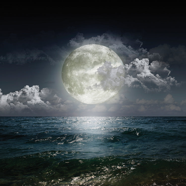 Arte de la lona del océano de la luna llena que brilla intensamente