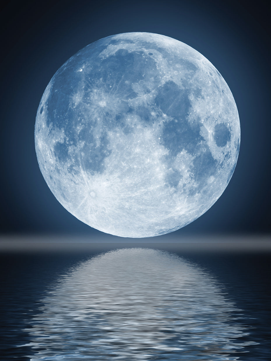 Arte de la lona de los reflejos de la fantasía de la luna llena