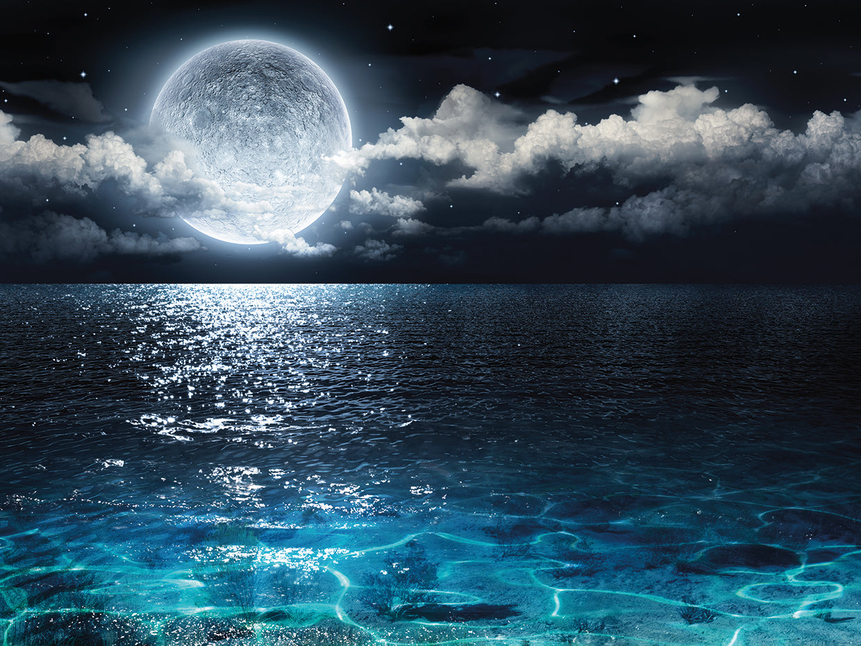 The Moon Waits Beyond the Sea
