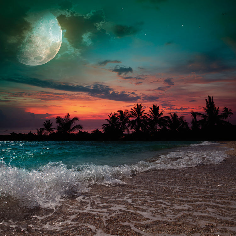 Beachy Moon Romance