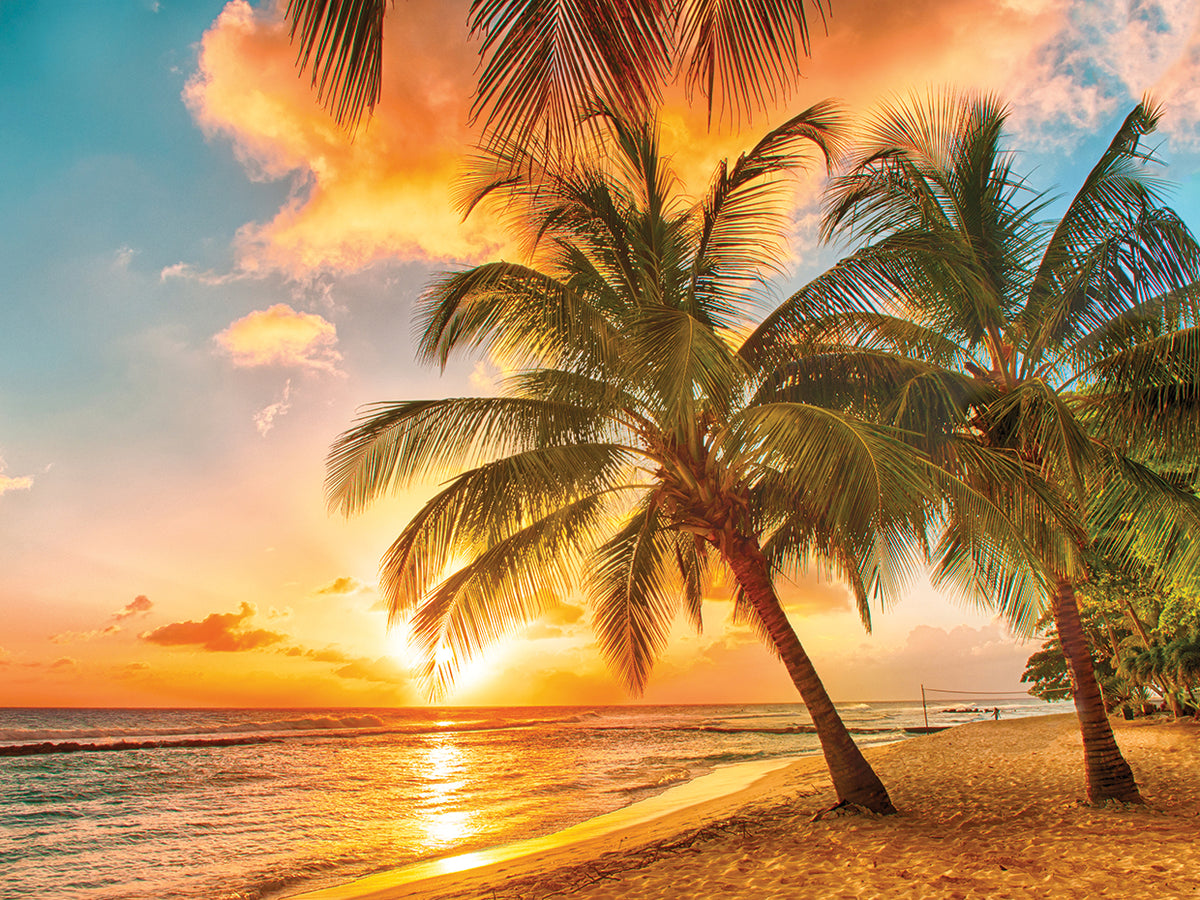 Barbados Beach Sunset