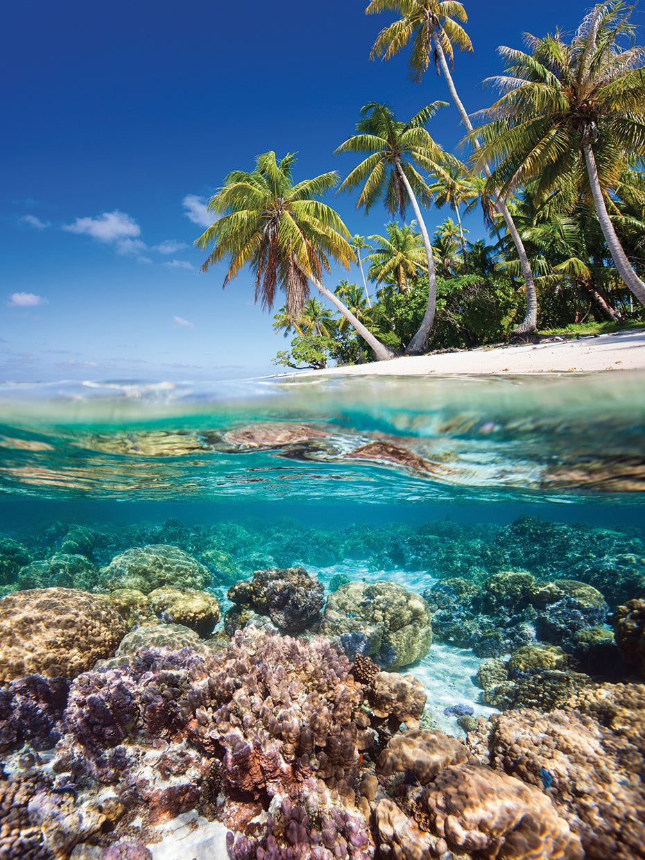 Arte de la lona de la playa del paraíso polinesio