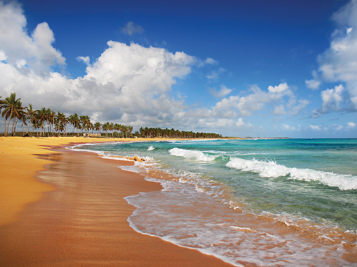 Exotic Beach Ripples