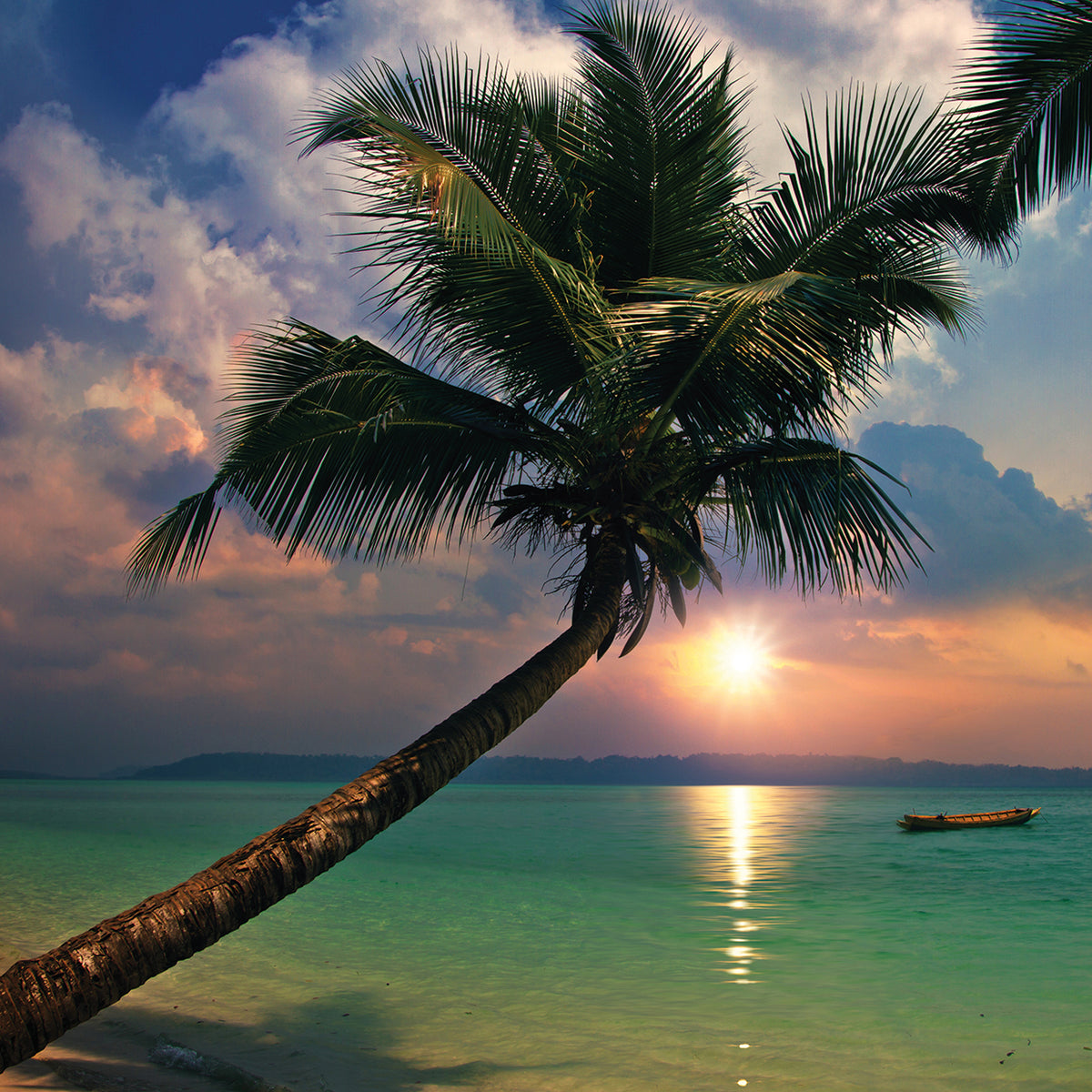 Teals Waves Under the Palms