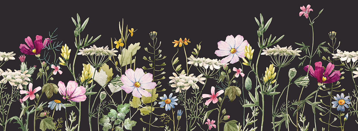 Lienzo de flores silvestres de terciopelo negro