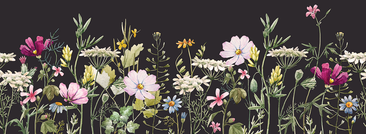 Black Velvet Wildflowers